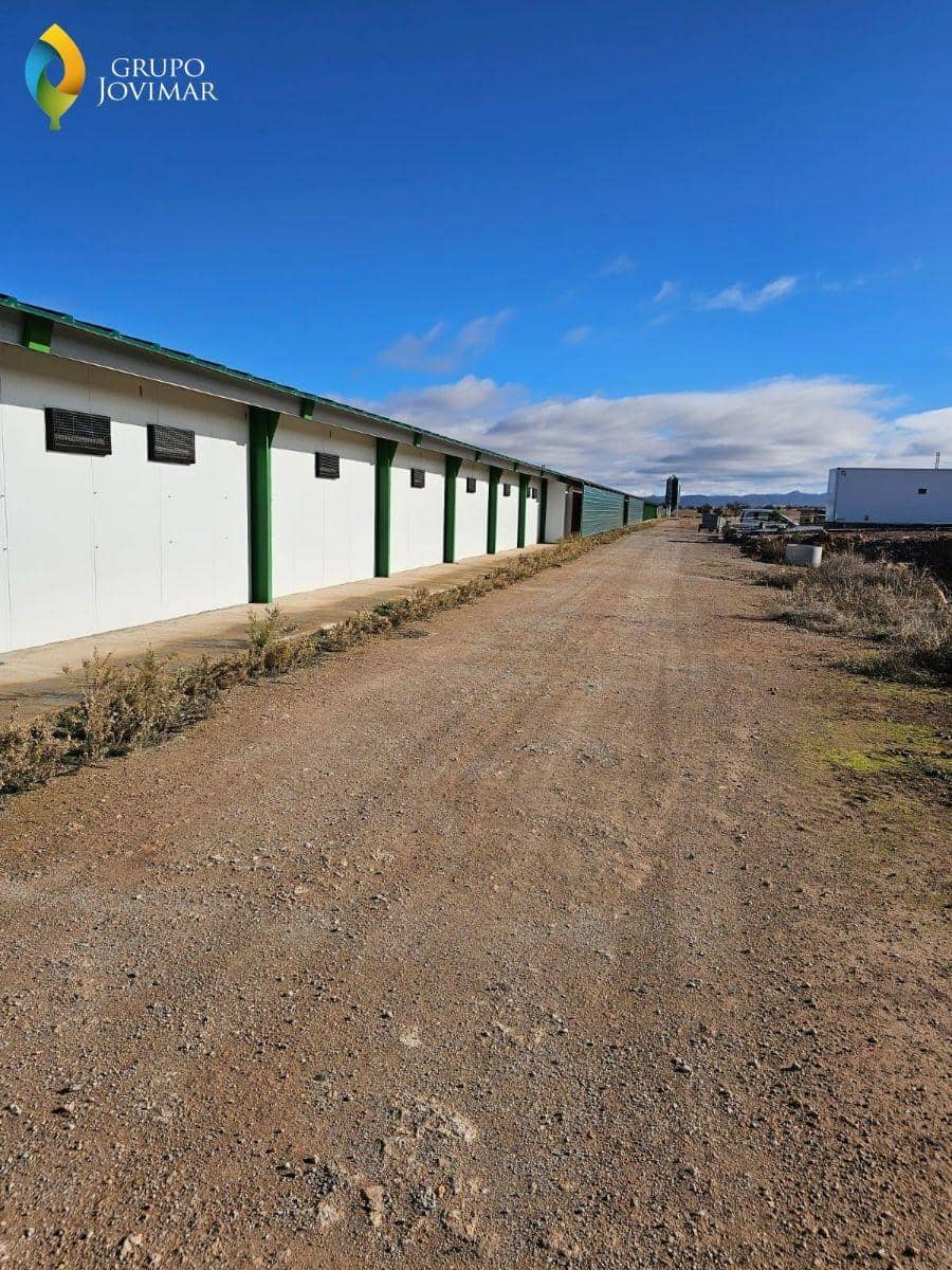 Grunde uden byggetilladelser til salg i Gor - € 2.100.000 (Ref: 8040123)