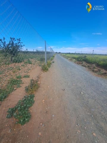 Undeveloped Land for sale in Cogollos de Guadix - € 39,680 (Ref: 8250567)