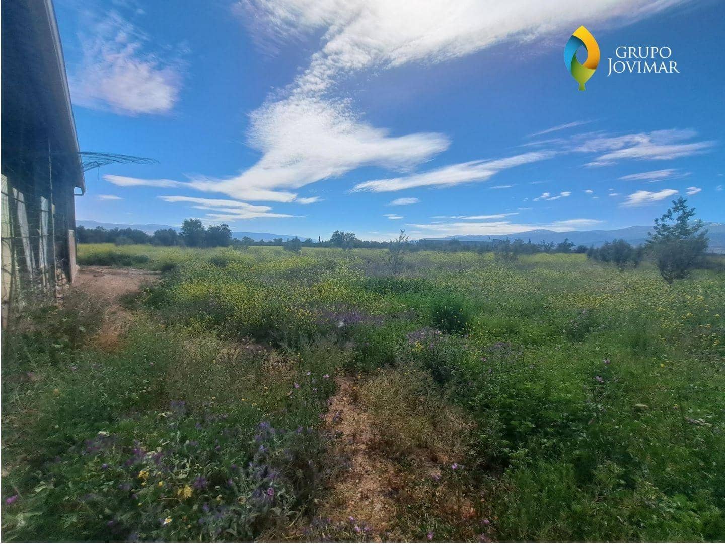 Grunde uden byggetilladelser til salg i Cogollos de Guadix - € 39.680 (Ref: 8250567)