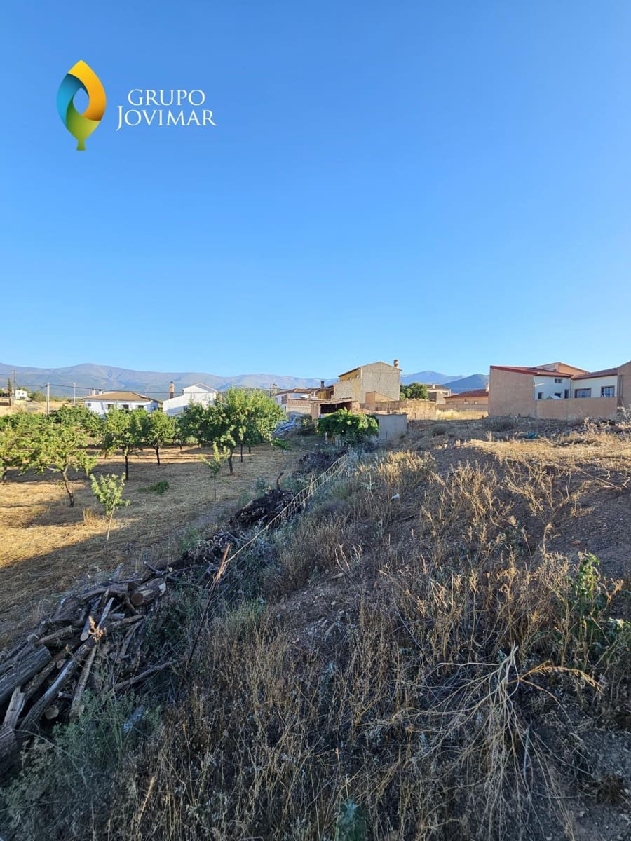 Byggegrund til salg i Cogollos de Guadix - € 58.445 (Ref: 9099249)
