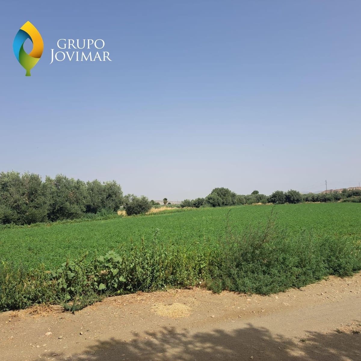 Grunde uden byggetilladelser til salg i Guadix - € 25.000 (Ref: 9162400)