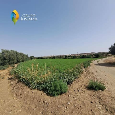 Undeveloped Land for sale in Guadix - € 25,000 (Ref: 9162400)