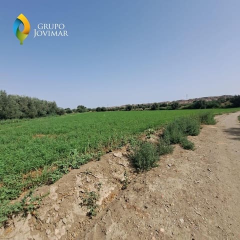 Undeveloped Land for sale in Guadix - € 25,000 (Ref: 9162400)