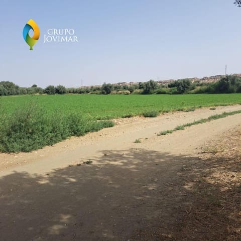 Undeveloped Land for sale in Guadix - € 25,000 (Ref: 9162400)