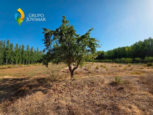 Undeveloped Land for sale in Purullena - € 11,990 (Ref: 9262747)