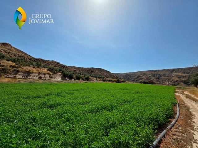 Teren niezagospodarowany na sprzedaż w Gorafe - 69 500 € (Ref: 9303699)