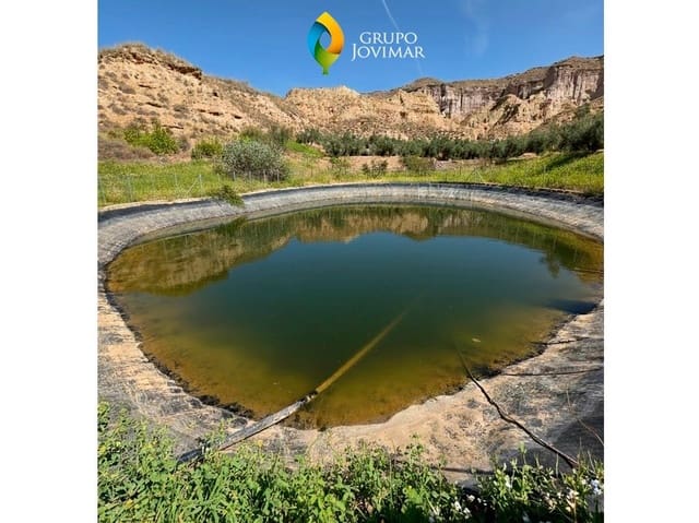 Teren niezagospodarowany na sprzedaż w Gorafe - 69 500 € (Ref: 9303699)