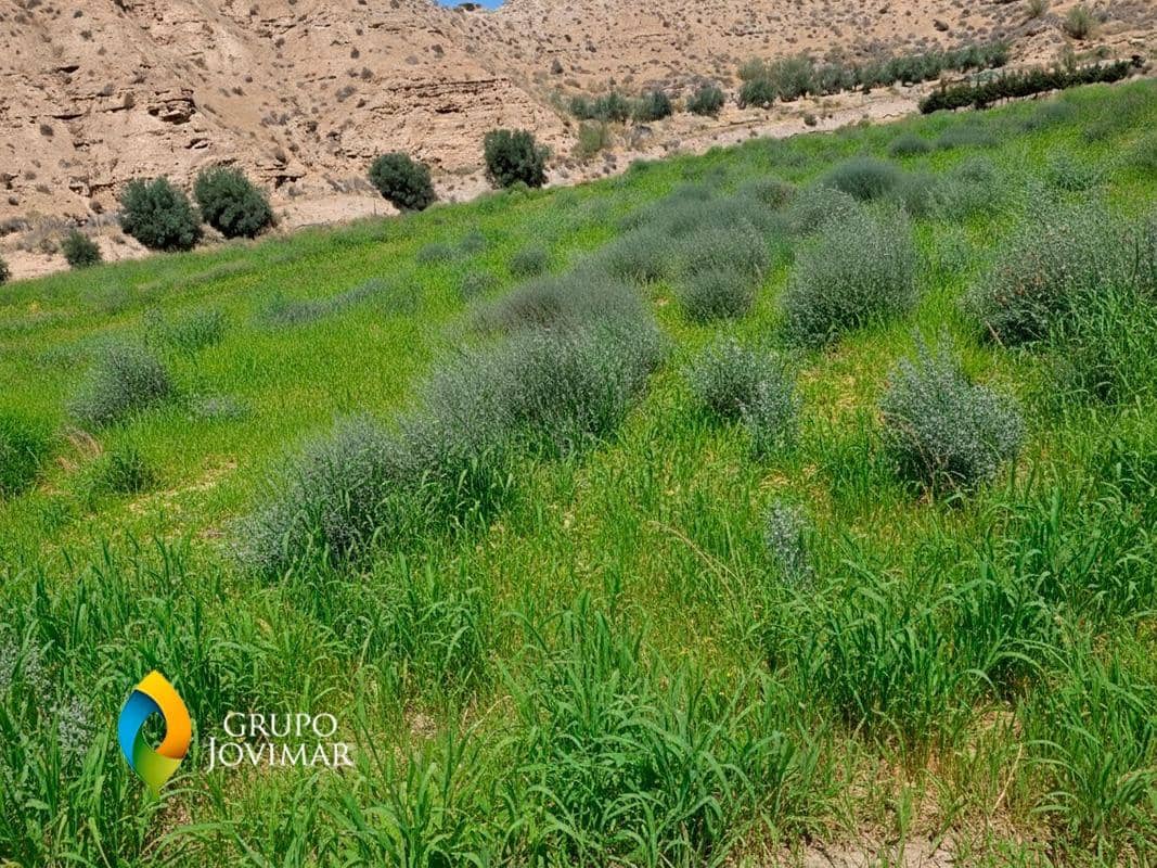 Terreno Non Edificato in vendita in Gorafe - 69.500 € (Rif: 9303699)