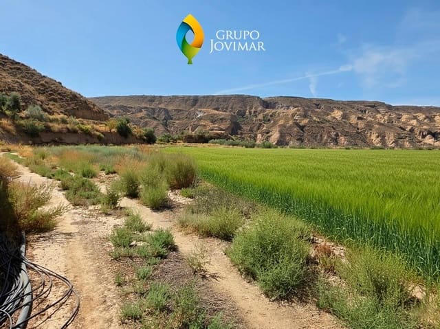 Teren niezagospodarowany na sprzedaż w Gorafe - 69 500 € (Ref: 9303699)