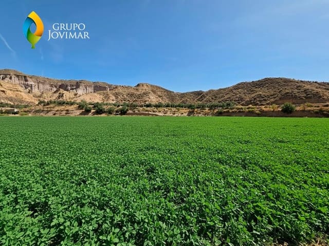 Teren niezagospodarowany na sprzedaż w Gorafe - 69 500 € (Ref: 9303699)