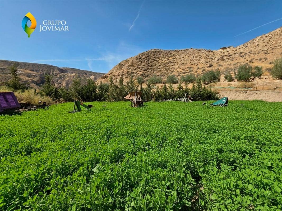 Terreno Non Edificato in vendita in Gorafe - 69.500 € (Rif: 9303699)