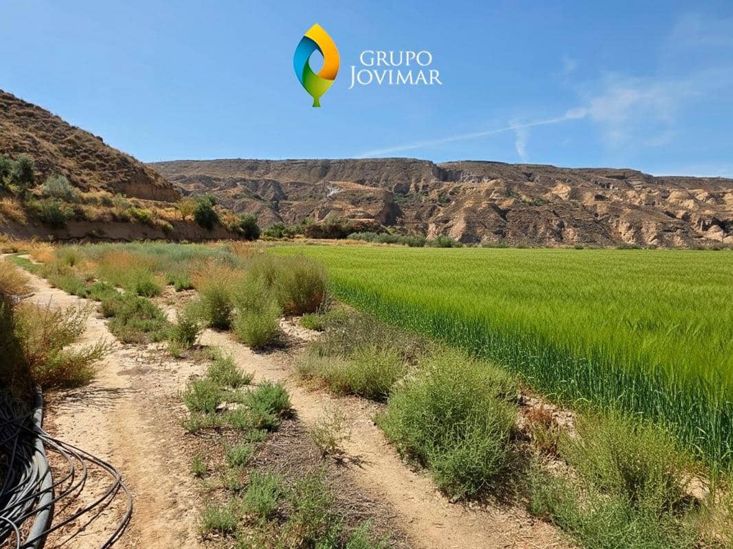 Terreno/Finca Rústica en Gorafe en venta - 69.500 € (Ref: 9303699)