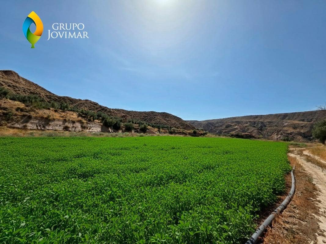 Terreno/Finca Rústica en Gorafe en venta - 69.500 € (Ref: 9303699)
