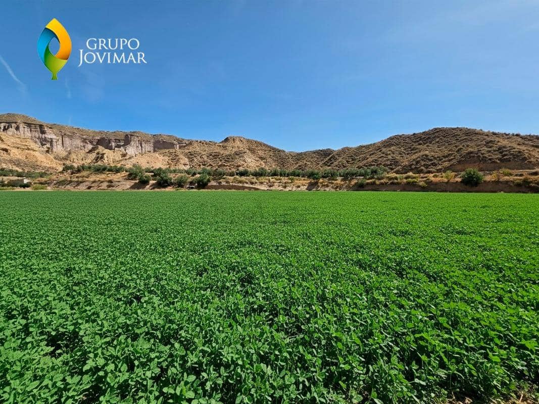 Terreno/Finca Rústica en Gorafe en venta - 69.500 € (Ref: 9303699)