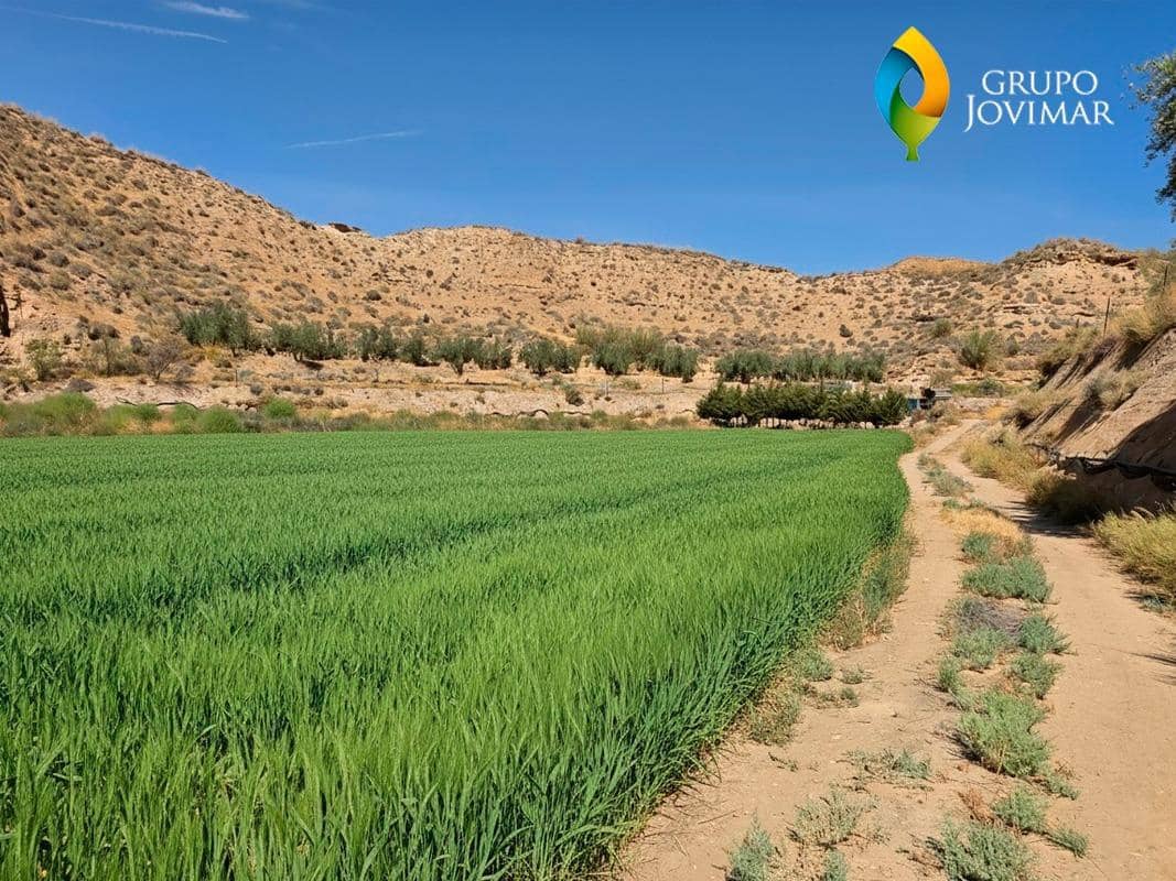 Terreno/Finca Rústica en Gorafe en venta - 69.500 € (Ref: 9303699)