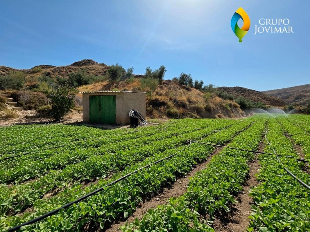 Terreno/Finca Rústica en Gorafe en venta - 69.500 € (Ref: 9303699)
