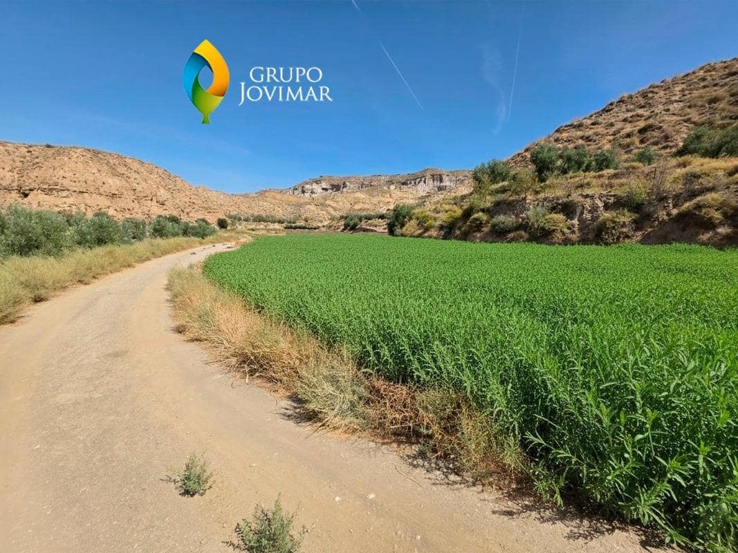 Terreno/Finca Rústica en Gorafe en venta - 69.500 € (Ref: 9303699)