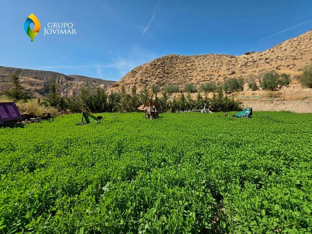 Terreno/Finca Rústica en Gorafe en venta - 69.500 € (Ref: 9303699)