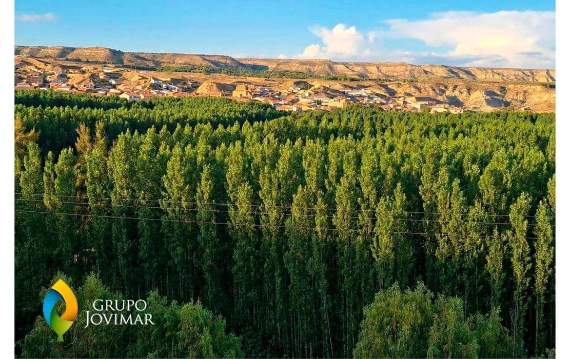 15 soverom Villa til salgs i Fonelas med svømmebasseng - € 180 000 (Ref: 9456469)