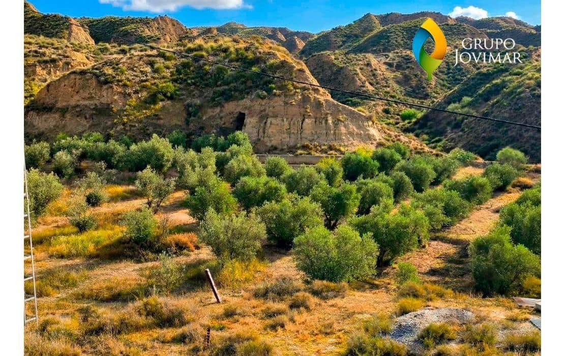 15 bedroom Villa for sale in Fonelas with pool - € 169,900 (Ref: 9456469)