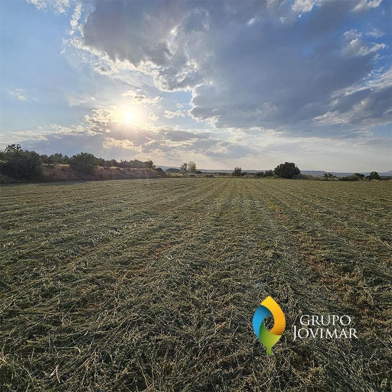 Mark till salu i Guadix - 58 500 € (Ref: 9530903)