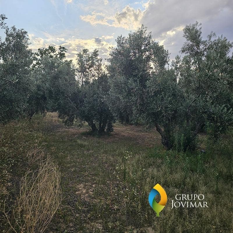 Mark till salu i Guadix - 58 500 € (Ref: 9530903)