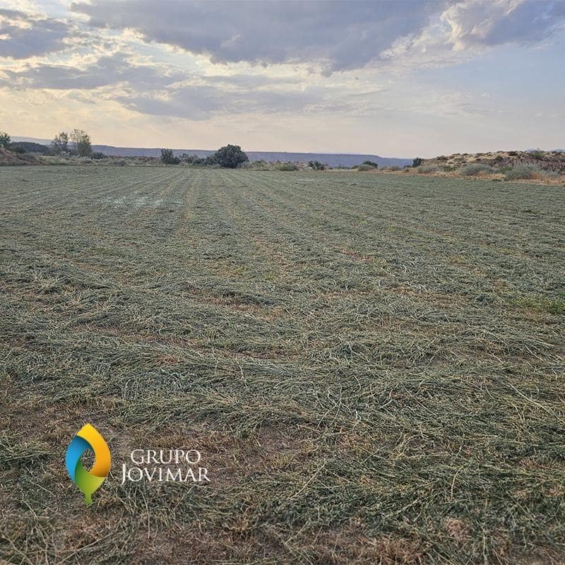 Mark till salu i Guadix - 58 500 € (Ref: 9530903)