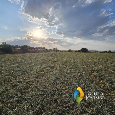 Mark till salu i Guadix - 58 500 € (Ref: 9530903)