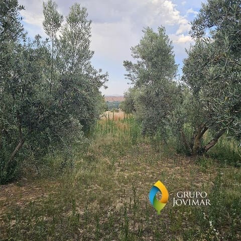 Mark till salu i Guadix - 58 500 € (Ref: 9530903)