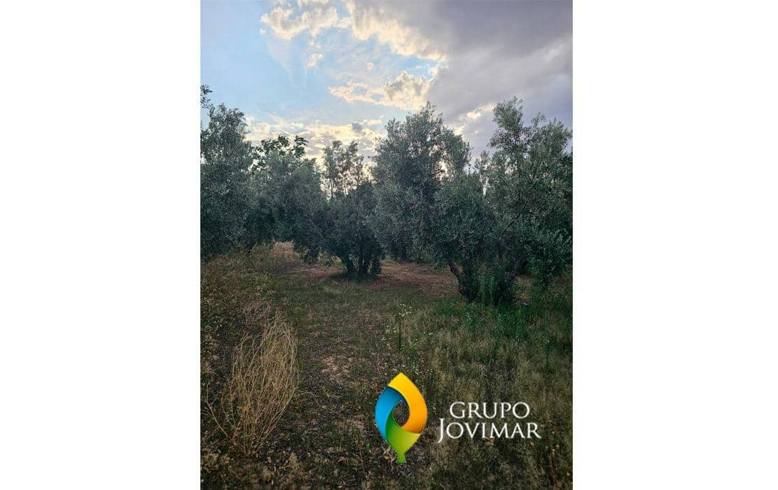 Undeveloped Land for sale in Guadix - € 58,500 (Ref: 9530903)