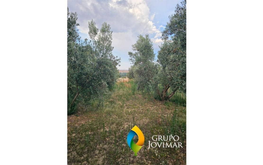 Undeveloped Land for sale in Guadix - € 58,500 (Ref: 9530903)