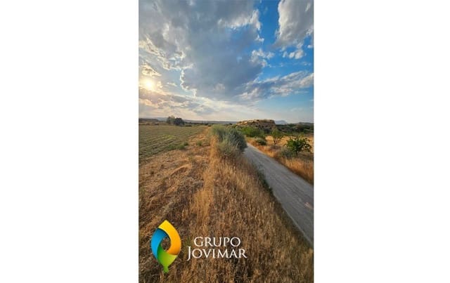 Terreno Non Edificato in vendita in Guadix - 58.500 € (Rif: 9530903)