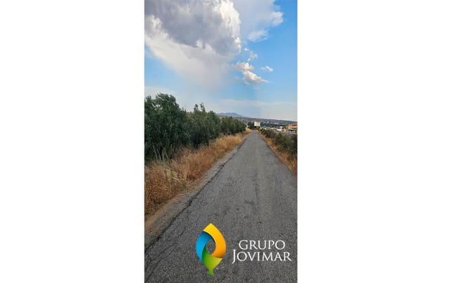 Terreno Non Edificato in vendita in Guadix - 58.500 € (Rif: 9530903)
