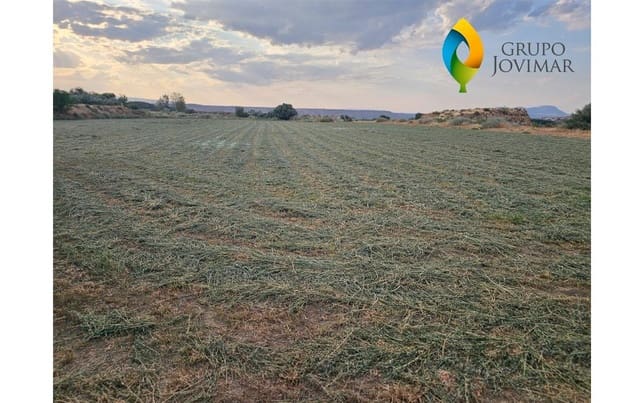 Terreno Non Edificato in vendita in Guadix - 58.500 € (Rif: 9530903)