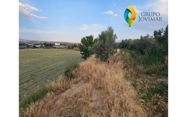 Terreno Non Edificato in vendita in Guadix - 58.500 € (Rif: 9530903)