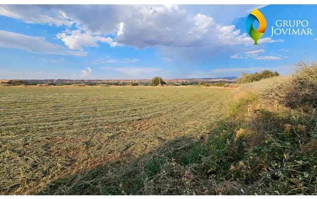 Terreno Non Edificato in vendita in Guadix - 58.500 € (Rif: 9530903)