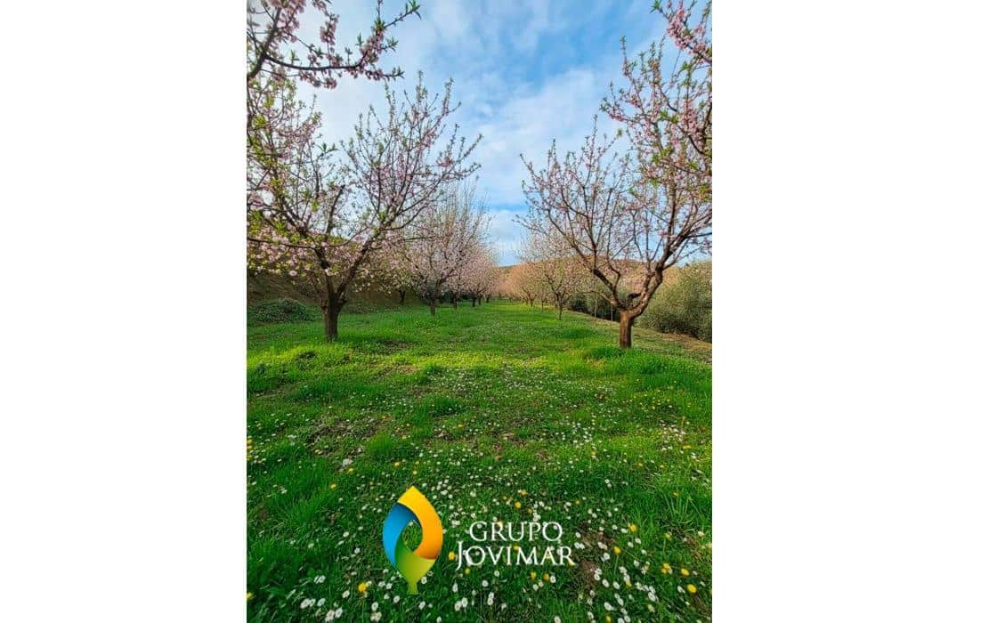 4 sovrum Finca/Hus på landet till salu i Graena med garage - 73 630 € (Ref: 9568967)