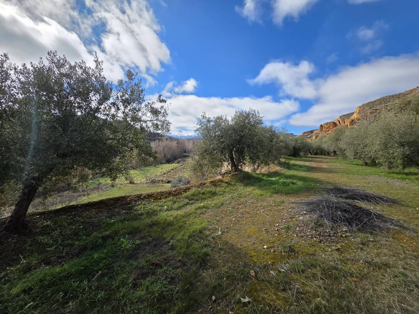 Ubebygd land til salgs i Cortes y Graena - € 16 420 (Ref: 9608203)