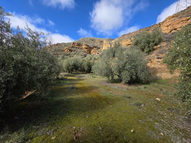 Ubebygd land til salgs i Cortes y Graena - € 16 420 (Ref: 9608203)