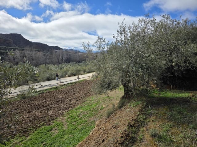 Ubebygd land til salgs i Cortes y Graena - € 16 420 (Ref: 9608203)