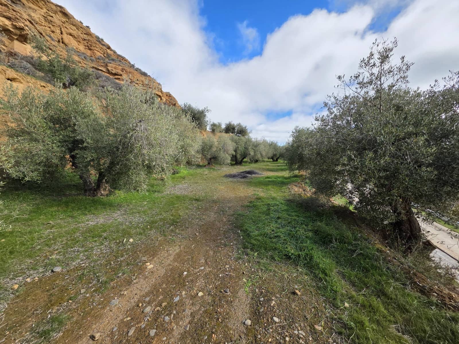 Ubebygd land til salgs i Cortes y Graena - € 16 420 (Ref: 9608203)