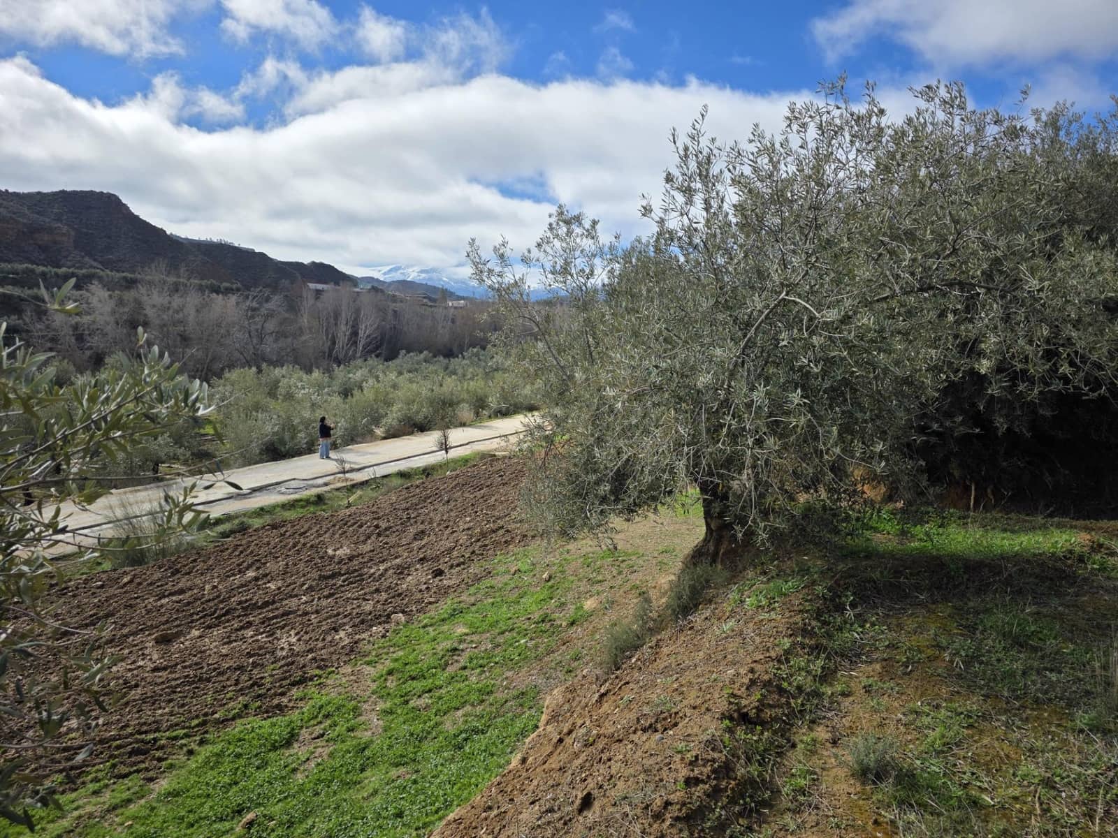 Mark till salu i Cortes y Graena - 11 990 € (Ref: 9608203)