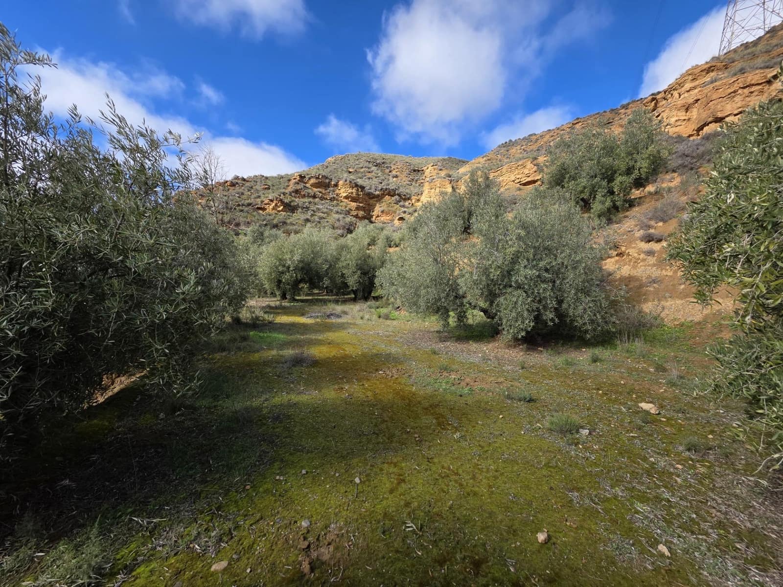 Mark till salu i Cortes y Graena - 11 990 € (Ref: 9608203)