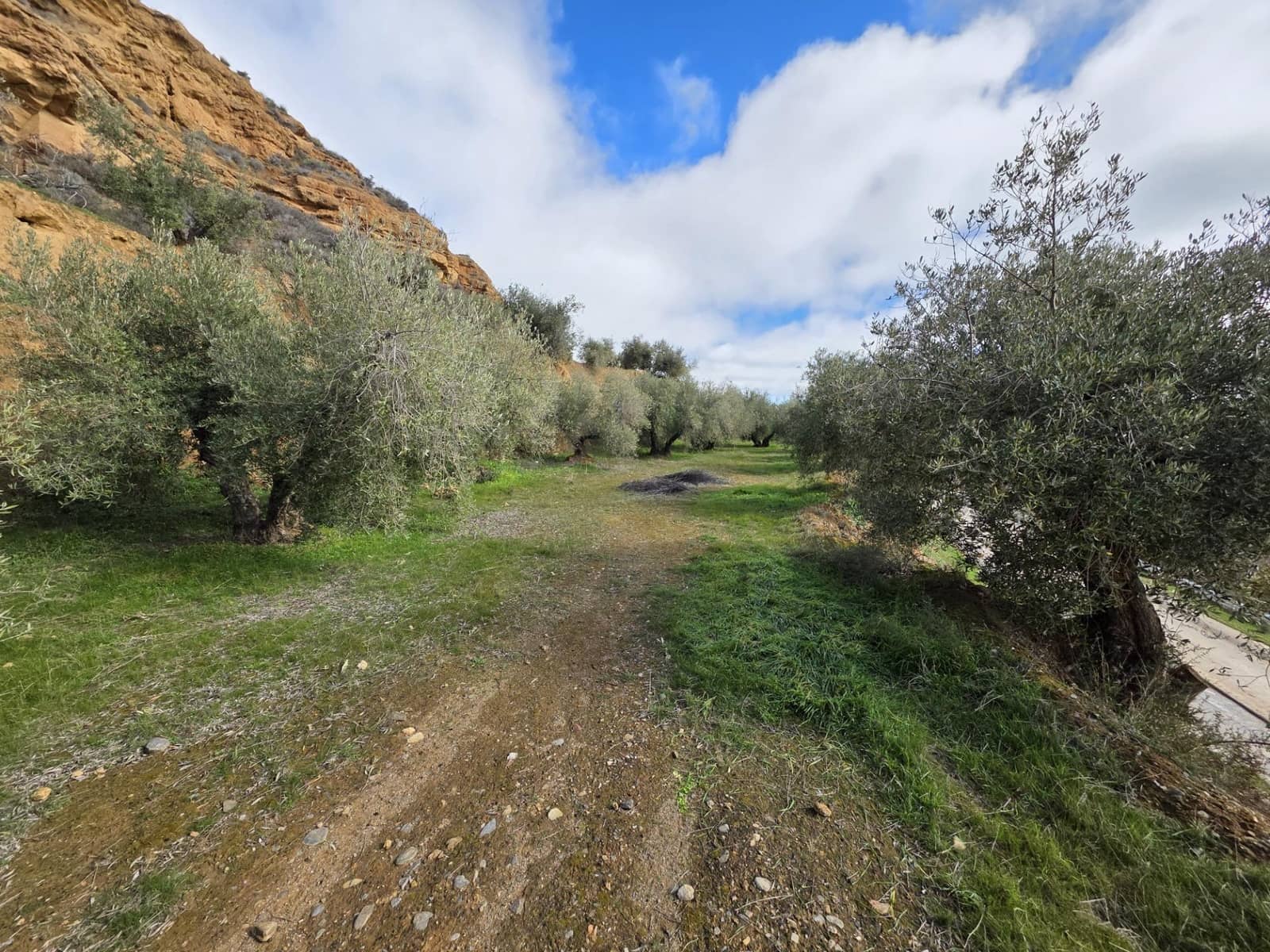 Mark till salu i Cortes y Graena - 11 990 € (Ref: 9608203)