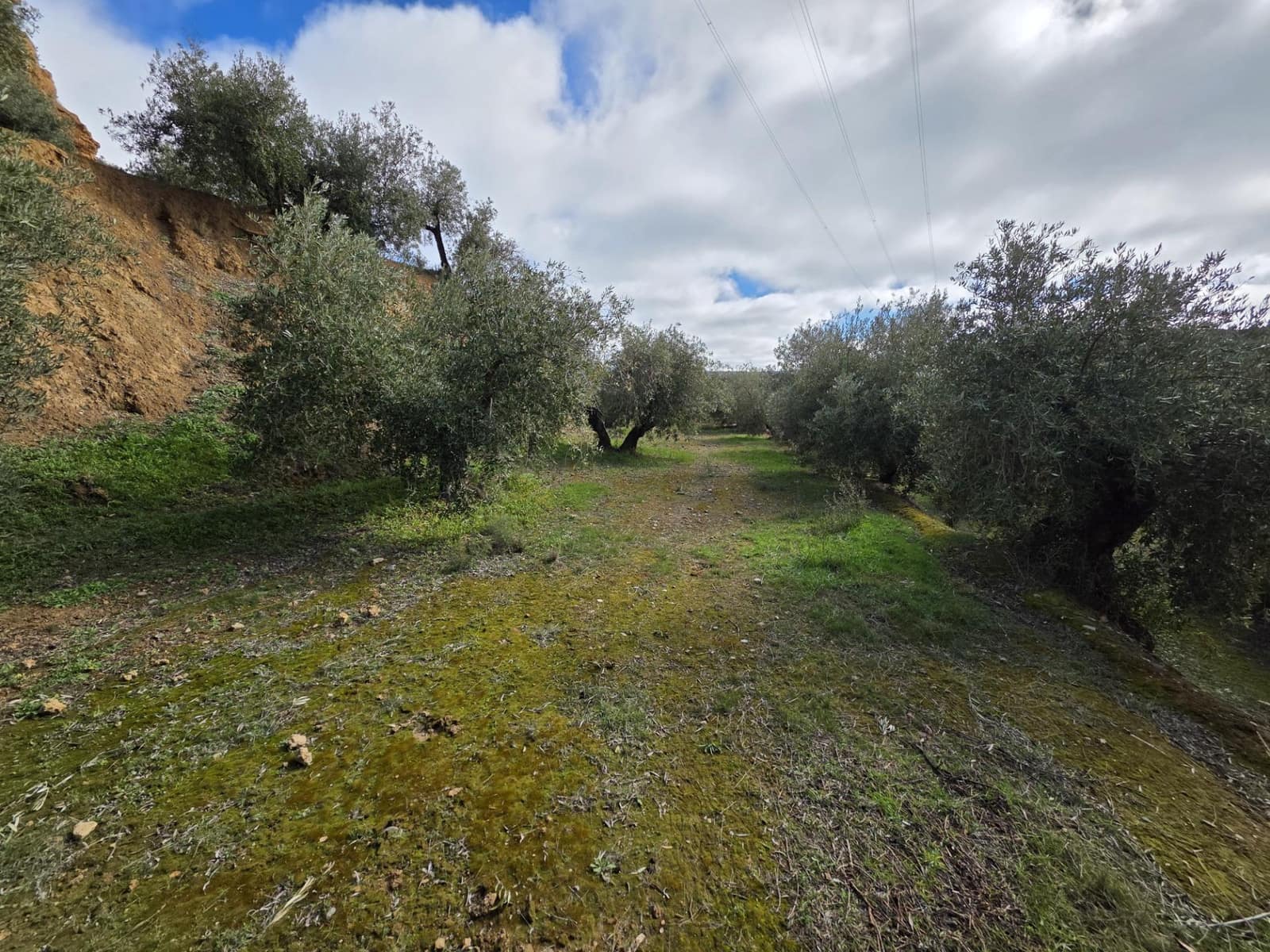 Mark till salu i Cortes y Graena - 11 990 € (Ref: 9608203)