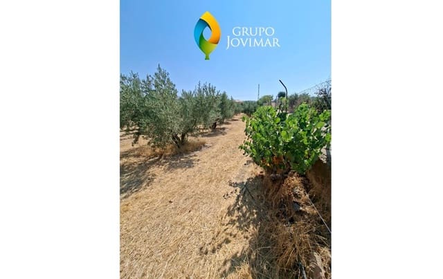 6 bedroom Villa for sale in Guadix with pool garage - € 299,500 (Ref: 9990818)