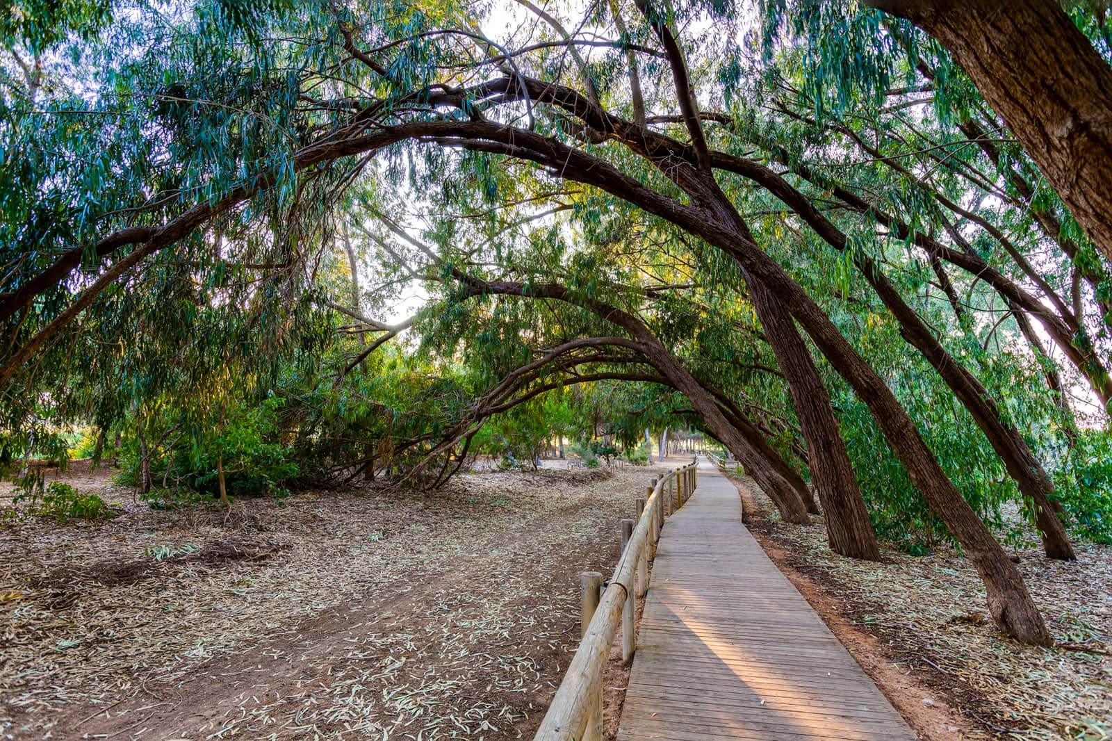 4 bedroom Villa for sale in Ciudad Quesada - € 549,000 (Ref: 9272832)