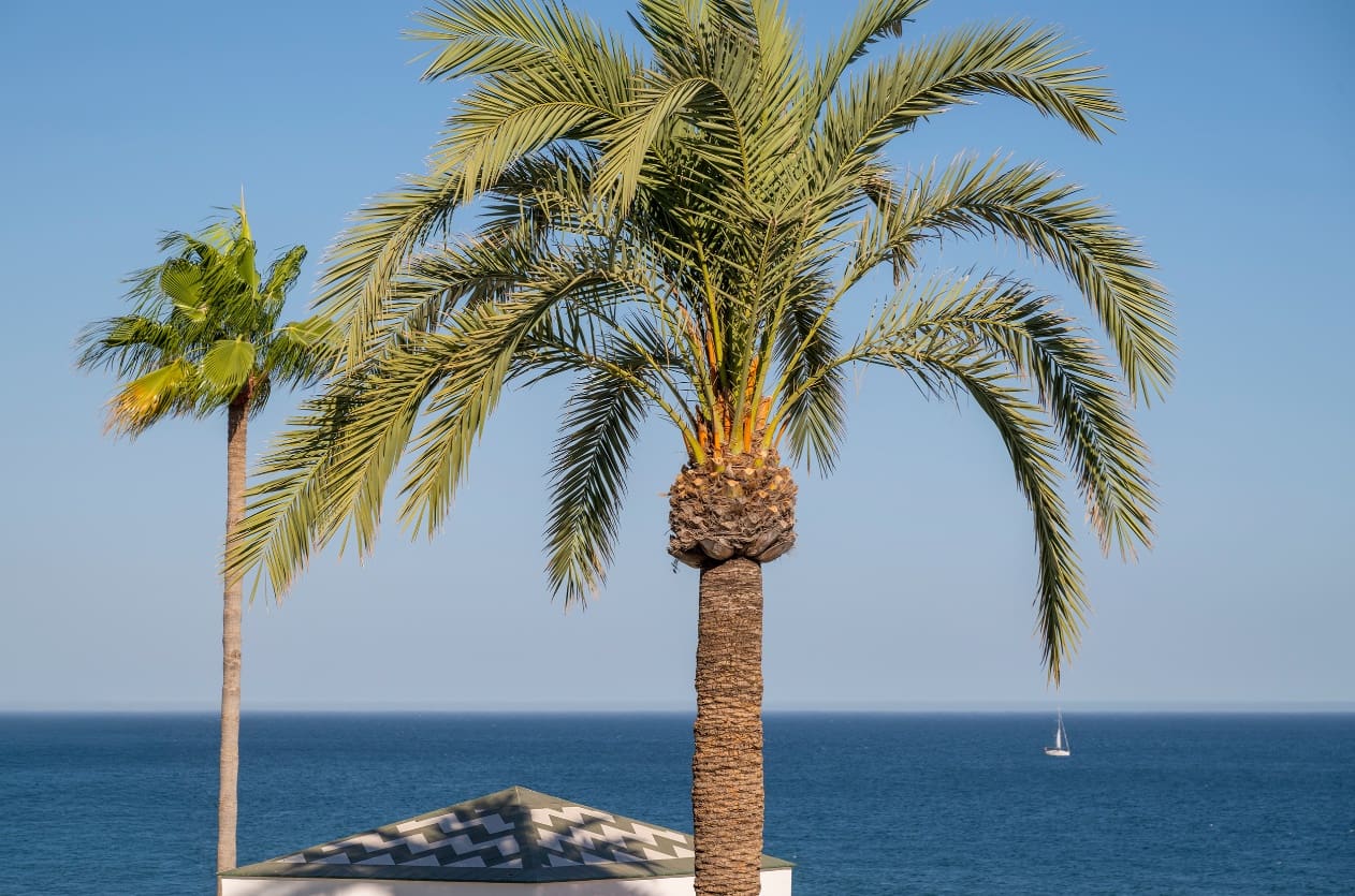 3 sypialnia Penthouse na sprzedaż w Marbella z basenem garażem - 2 495 000 € (Ref: 10035008)
