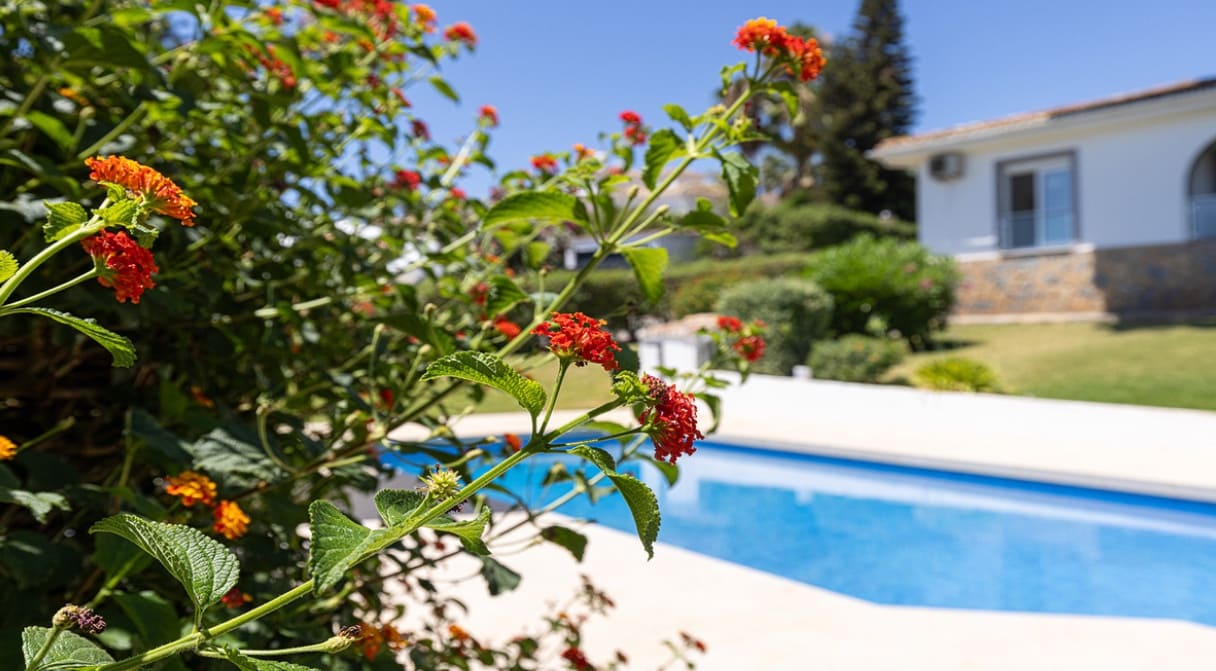 4 bedroom Villa for sale in Manilva with pool - € 1,100,000 (Ref: 10049997)