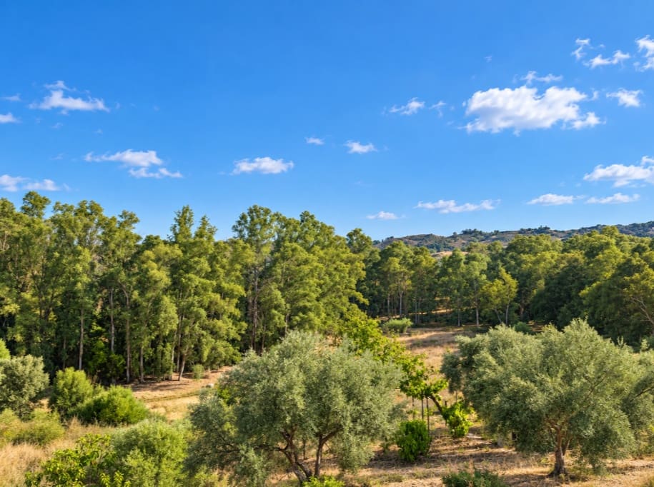 3 Zimmer Villa zu verkaufen in Mijas Costa mit Pool Garage - 950.000 € (Ref: 10088953)
